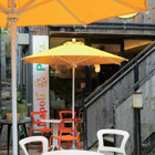 SEG（標準カラー）