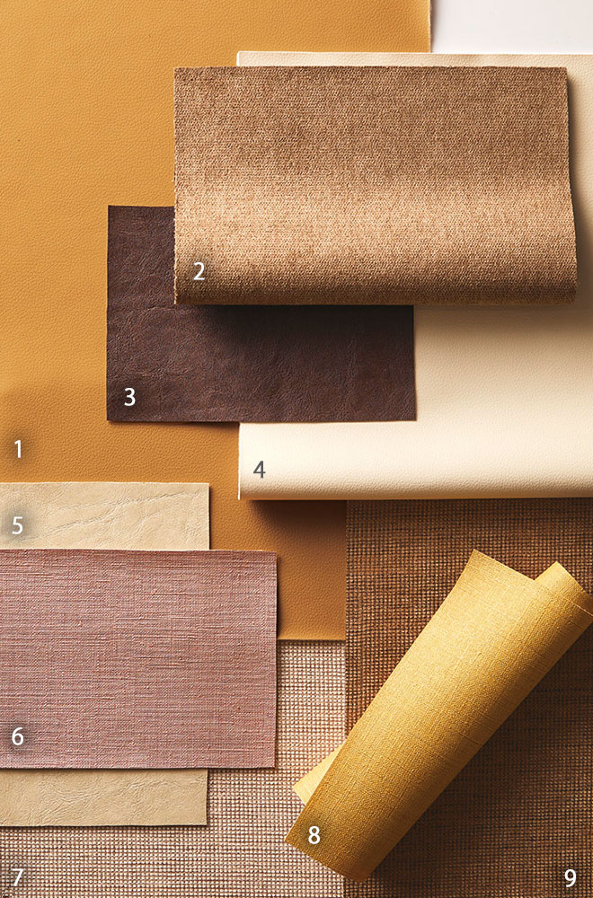 Bランクイメージ画像