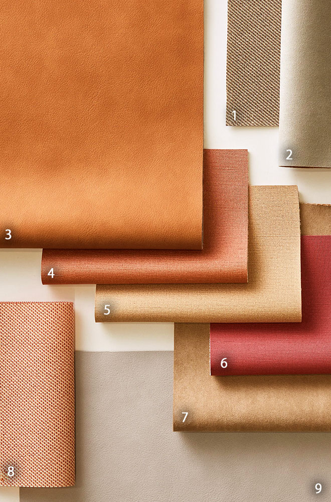 Cランクイメージ画像