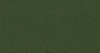 DG（ダークグリーン）