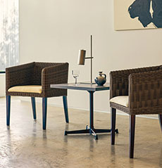 ポサーダアーム