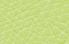 ライトグリーン(UP5128)