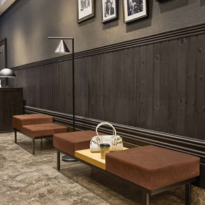 アルカイメージ